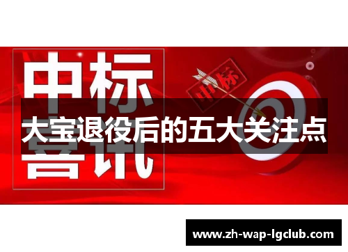 大宝退役后的五大关注点
