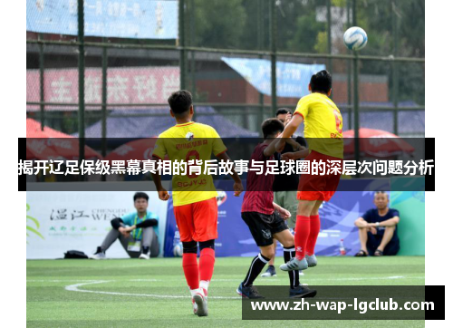 揭开辽足保级黑幕真相的背后故事与足球圈的深层次问题分析 揭开辽足保级黑幕真相的背后故事与足球圈的深层次问题分析