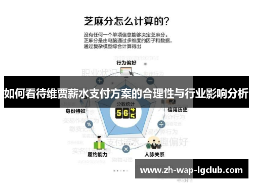 如何看待维贾薪水支付方案的合理性与行业影响分析
