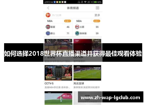 如何选择2018世界杯直播渠道并获得最佳观看体验