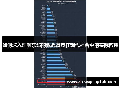 如何深入理解东超的概念及其在现代社会中的实际应用