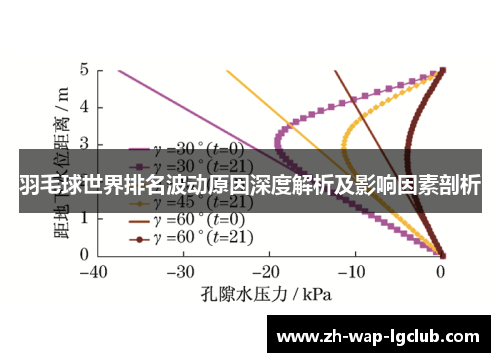 羽毛球世界排名波动原因深度解析及影响因素剖析