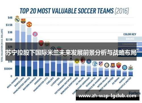 苏宁控股下国际米兰未来发展前景分析与战略布局 苏宁控股下国际米兰未来发展前景分析与战略布局