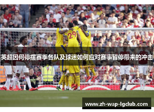 英超因何停摆赛季各队及球迷如何应对赛事暂停带来的冲击